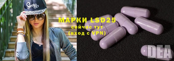 крисы Алзамай