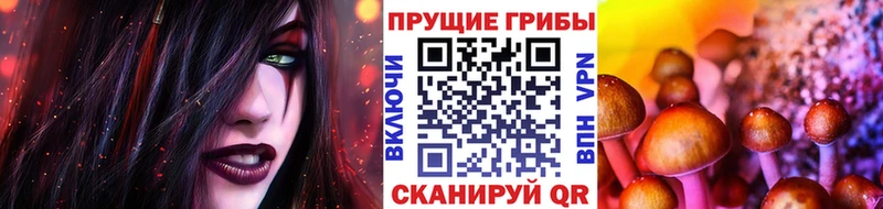 как найти закладки  Беслан  Псилоцибиновые грибы Psilocybine cubensis 